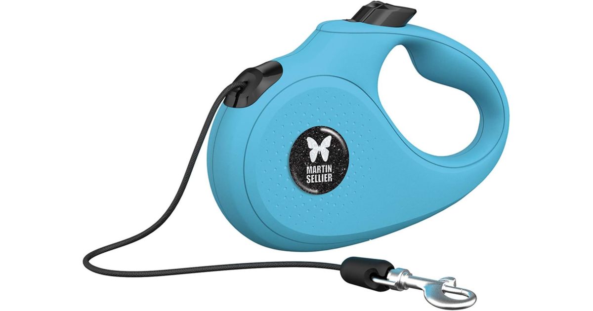 Laisse rétractable pour chien