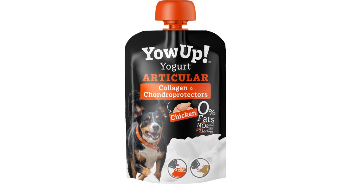 Yow Up - Chondroitine articulation