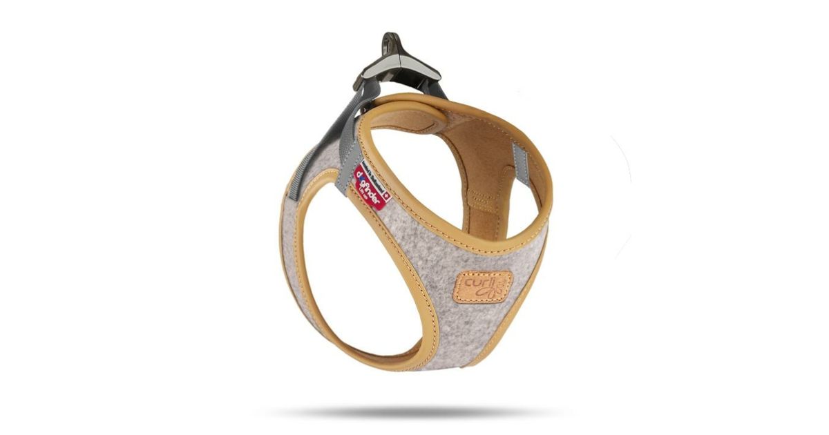 Curli - Harnais Alpine