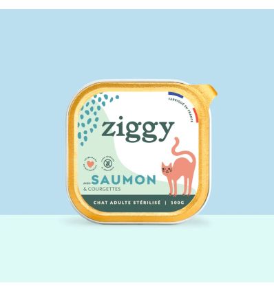 Pâtée Complète Chat Adulte Stérilisé - Saumon 4x100g