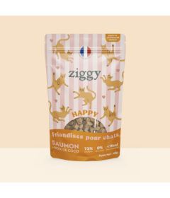 Friandises HAPPY Saumon & Coco 40g