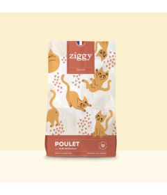 Croquettes Chaton - Poulet