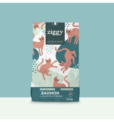 Croquettes Chat Adulte Stérilisé - Saumon