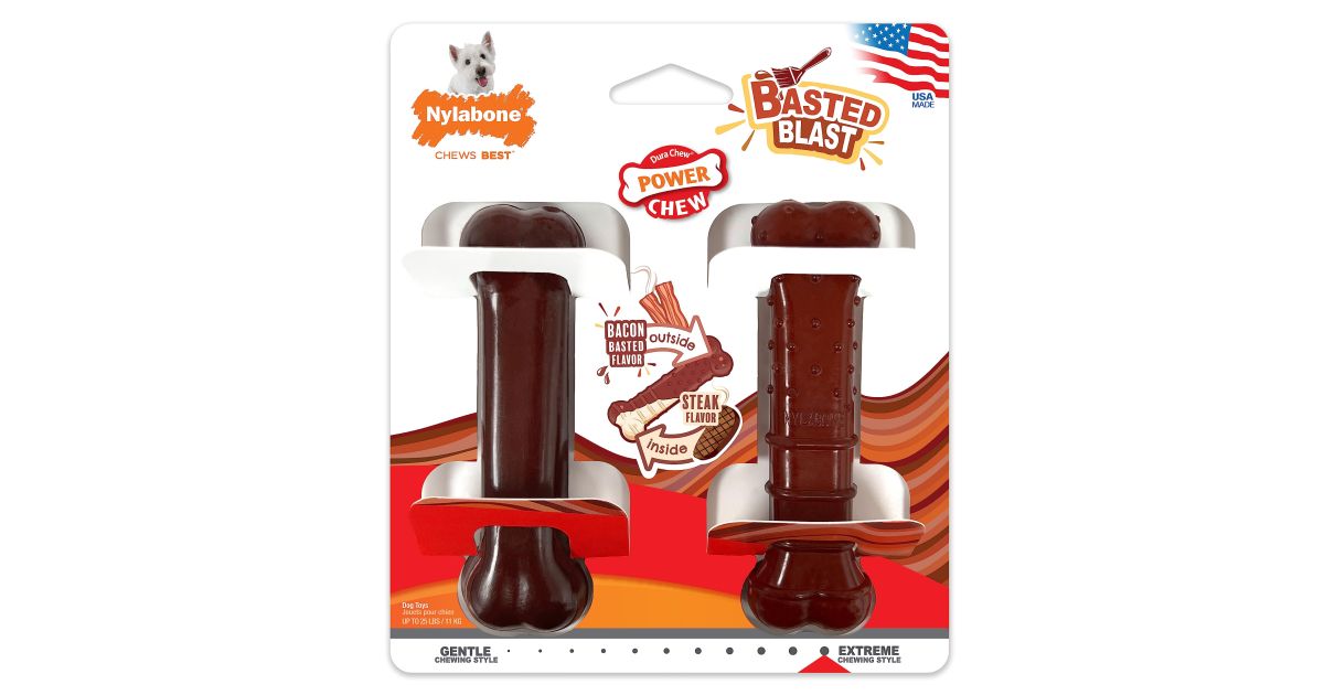 Nylabone - Basted Blast Chew