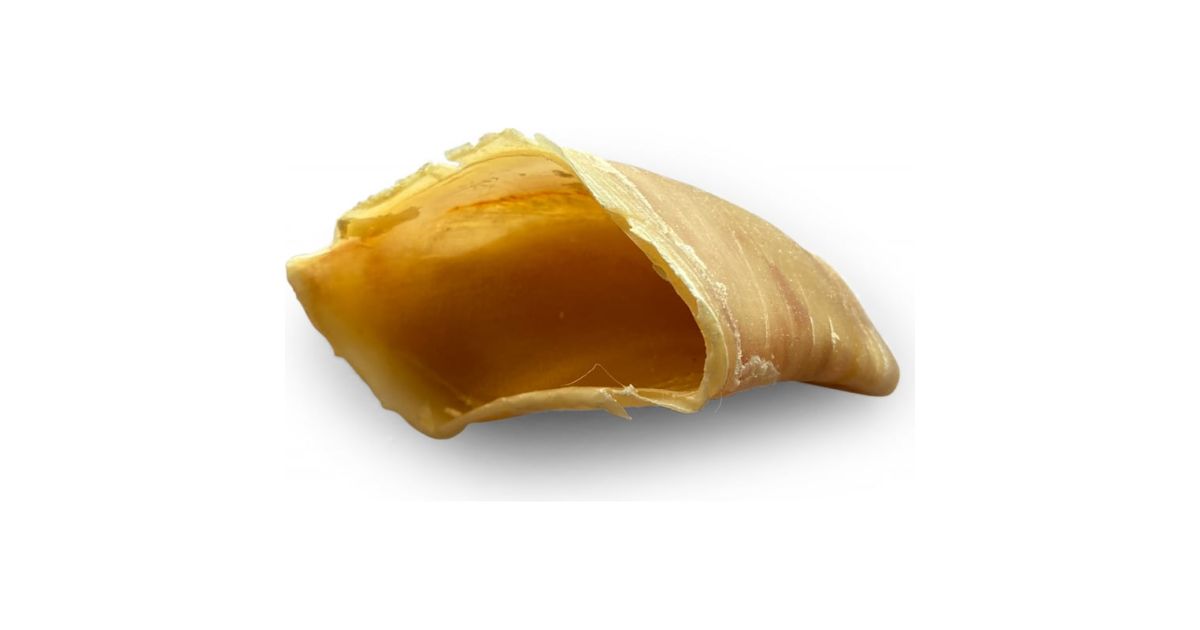 Vrac - Sabot de veau - Unité