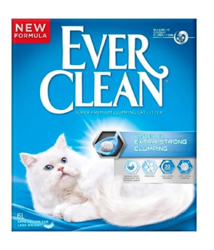 EverClean 6L