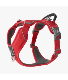 Dog Copenhagen - Harnais Walk Pro