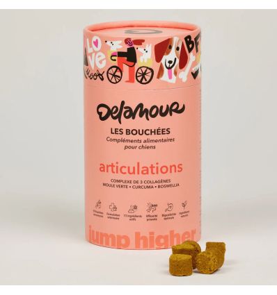 Les bouchées articulation