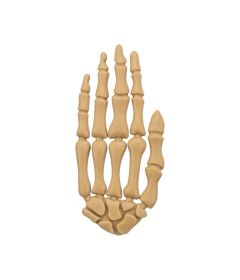 Vrac - Main Halloween