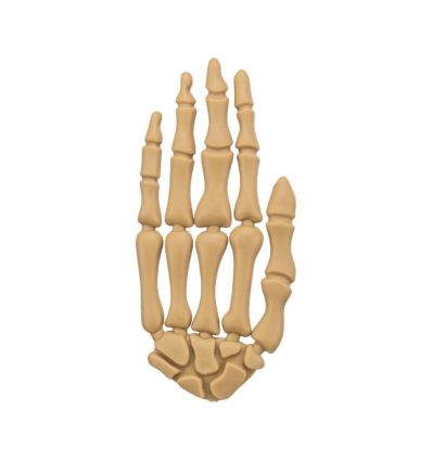 Vrac - Main Halloween