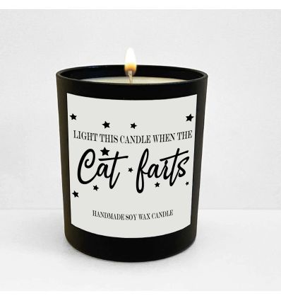 Bougie parfumée Cat fart