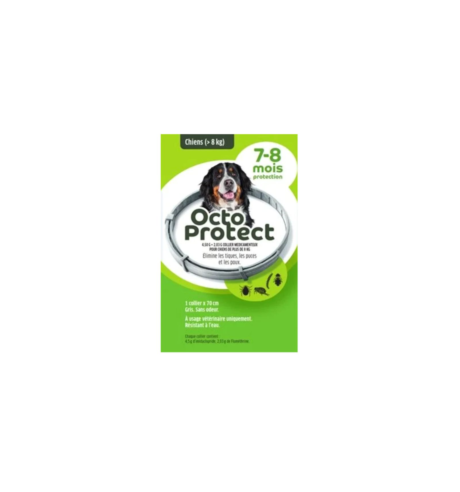 Octoprotect - Grand Chien