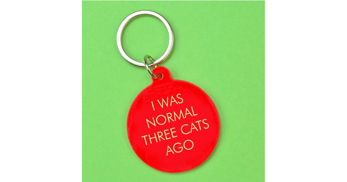 Porte clés - I was normal three cats ago
