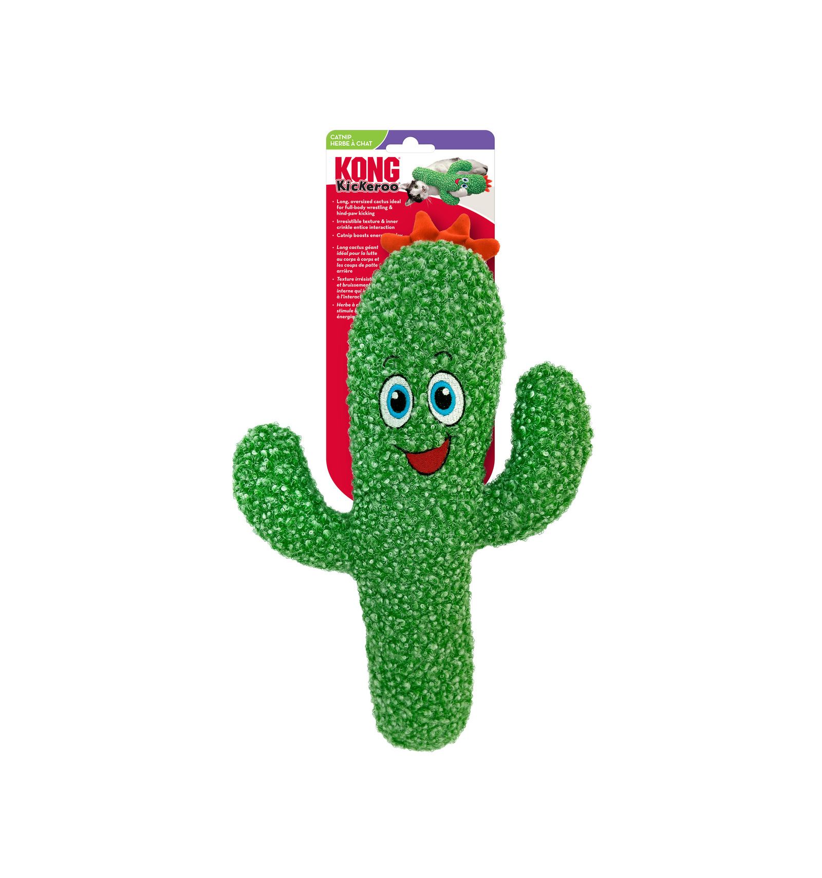 Kong - Kickeroo Cactus