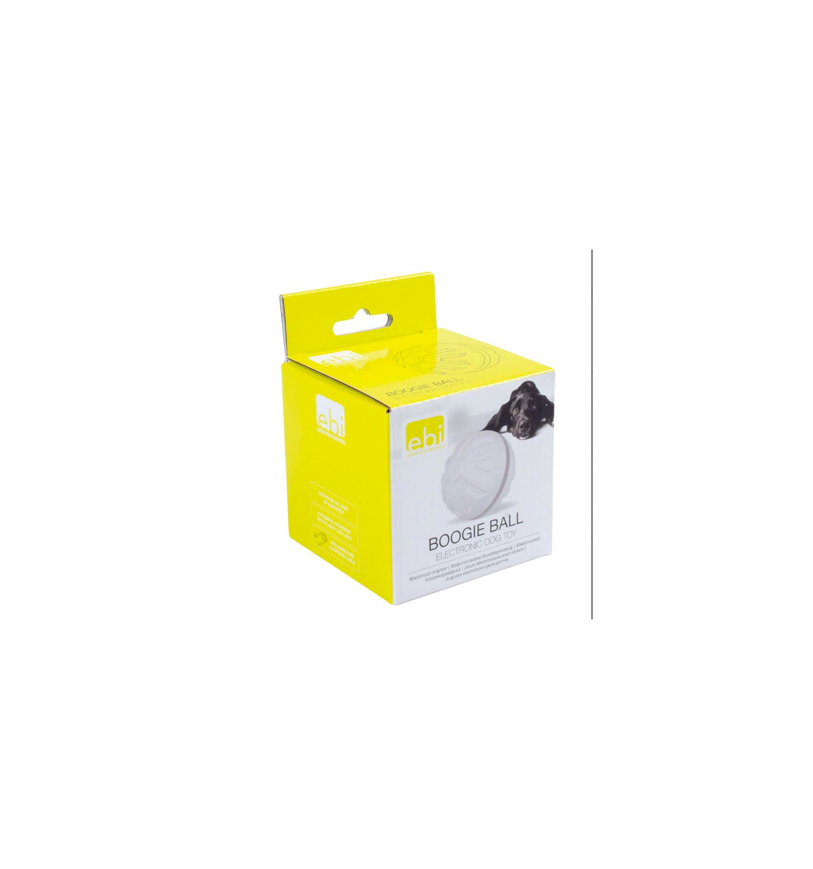 Jouet pour Chien Boogie Ball