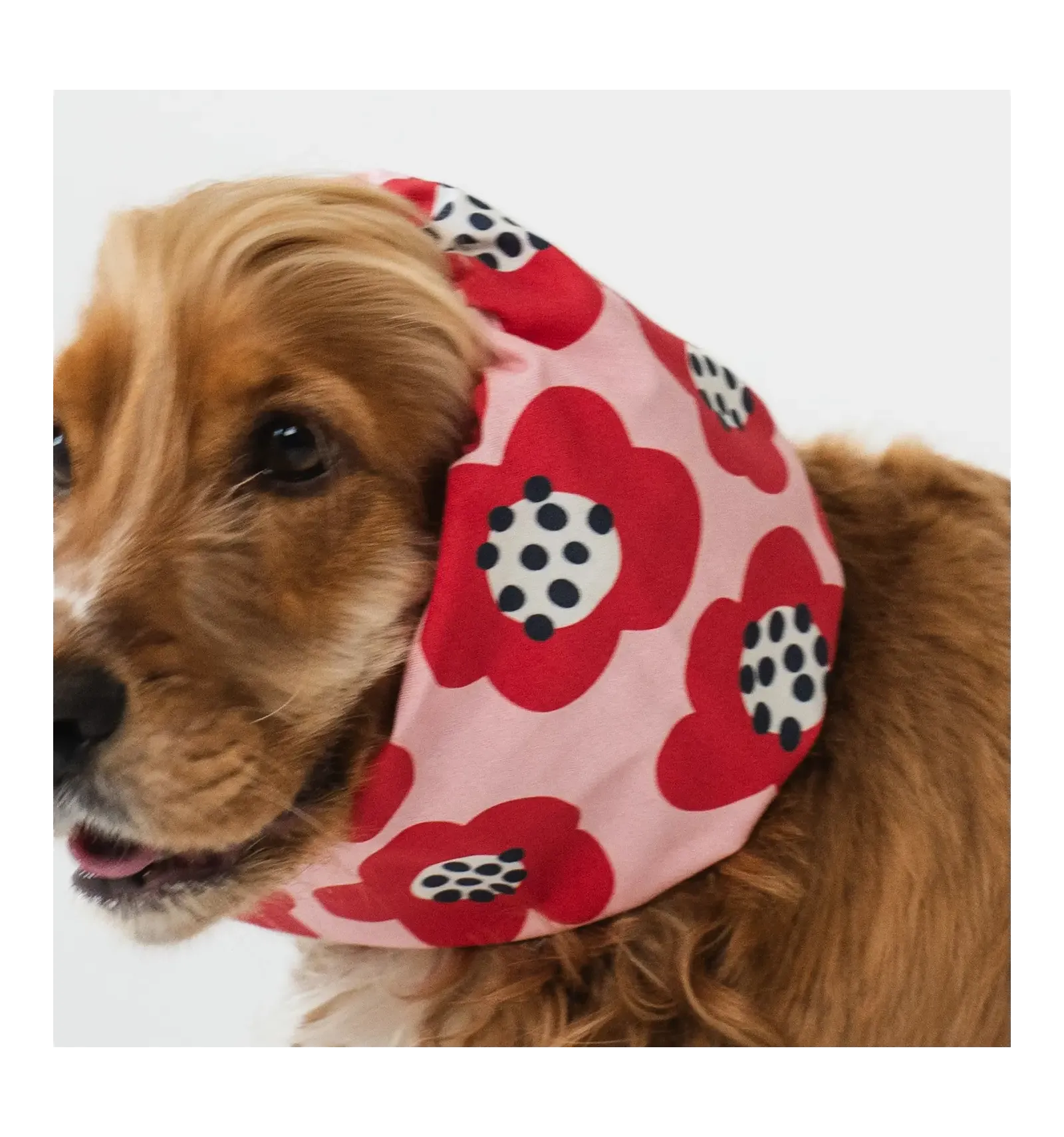 Snood motif fleur rouge