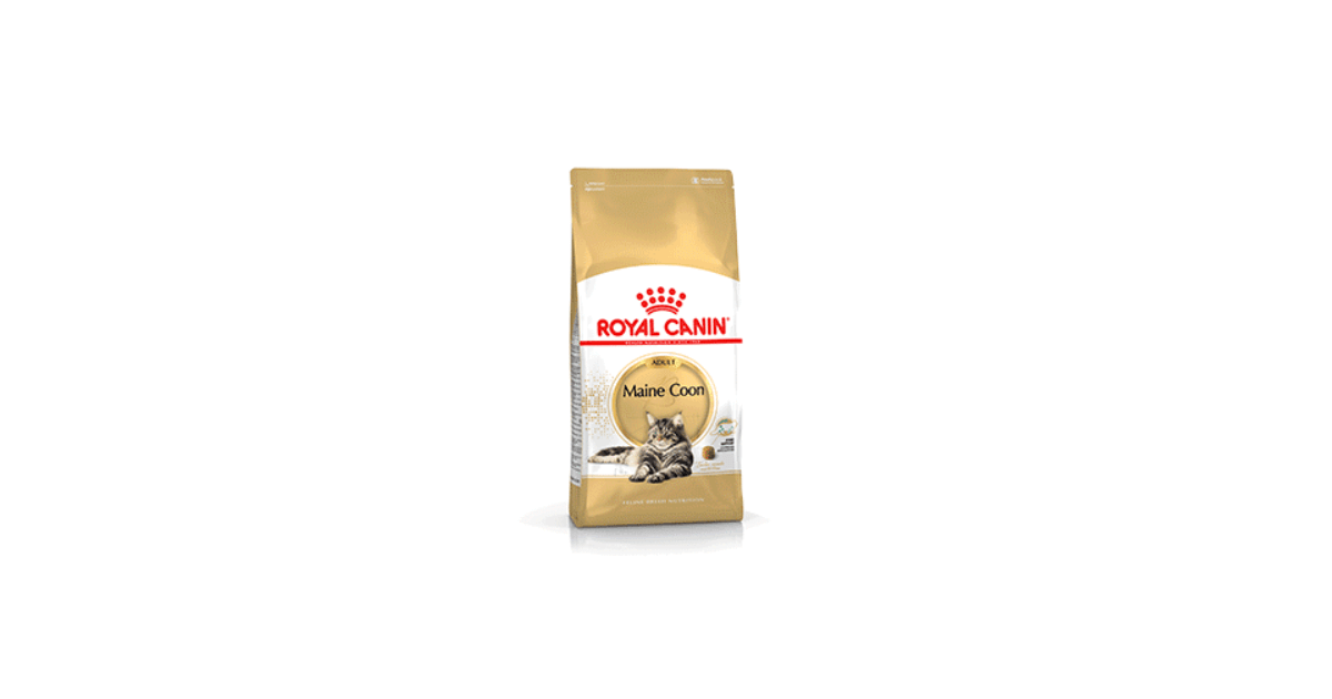 Royal Canin - Maine Coon Adult Royal Canin - 1