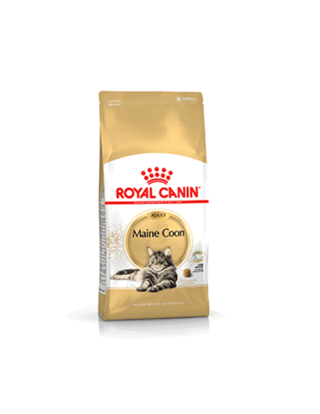Royal Canin - Maine Coon Adult Royal Canin - 1