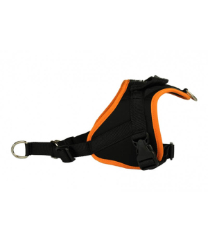 Harnais pour chien - Anti-traction Classic Animalin - 2