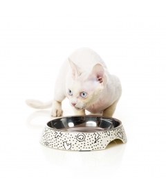 Gamelle plate pour chat Kaos FuzzYard - 3