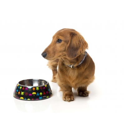 Gamelle Space Raiders FuzzYard - 3