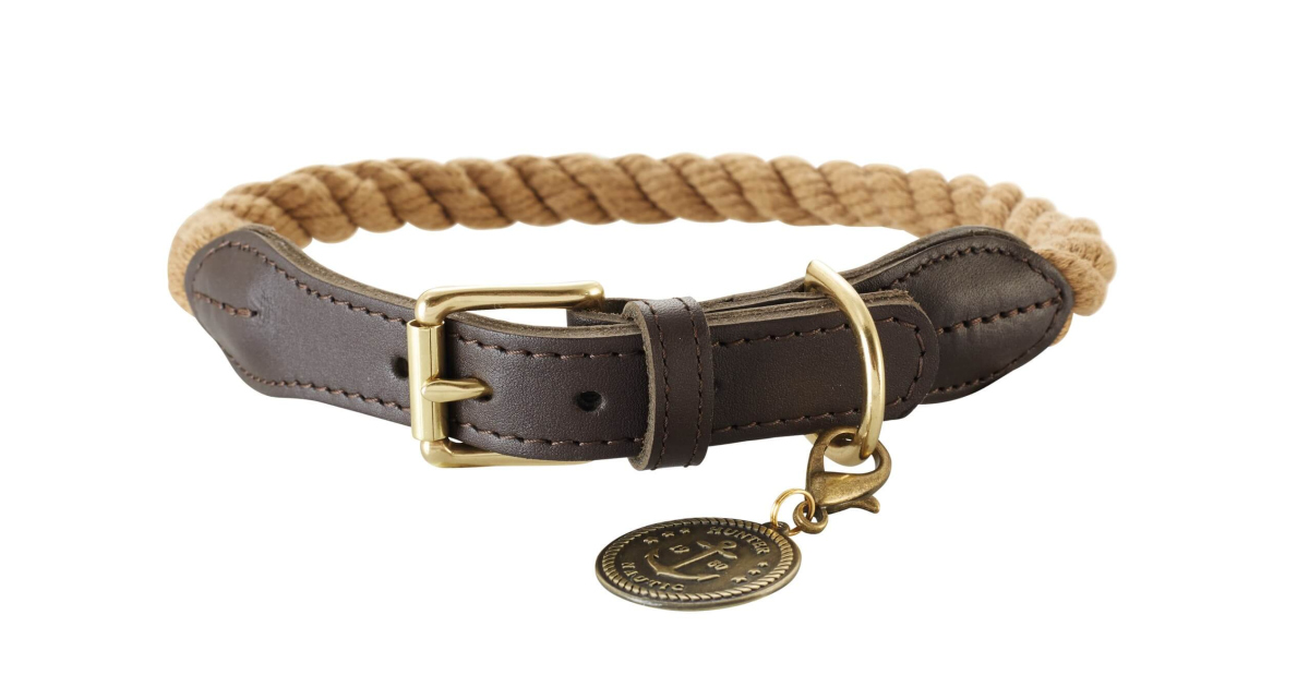 Collier pour chiens - Collier List avec Medaillon Hunter - 1