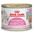 Royal Canin - Mother & Baby Cat Mousse Royal Canin - 1