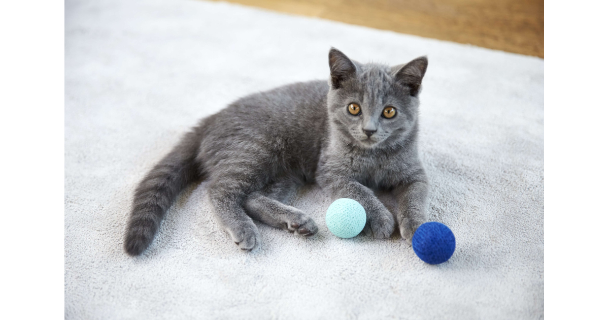 3 Balles Meyou Meyou Paris - 2