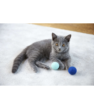 3 Balles Meyou Meyou Paris - 2