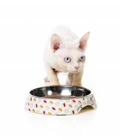 Ecuelle Sushi FuzzYard - 2