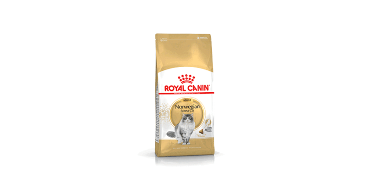 Royal Canin - Norvegian Adult Royal Canin - 1