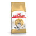 Royal Canin - Norvegian Adult Royal Canin - 1