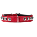 Collier pour chiens - Collier Rocky Hunter - 1
