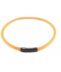 Collier pour chiens - Collier LED Yukon Chien Hunter - 2
