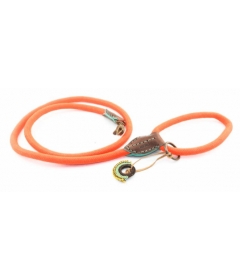 Laisse DWAM Carrot Cake DWAM - 1