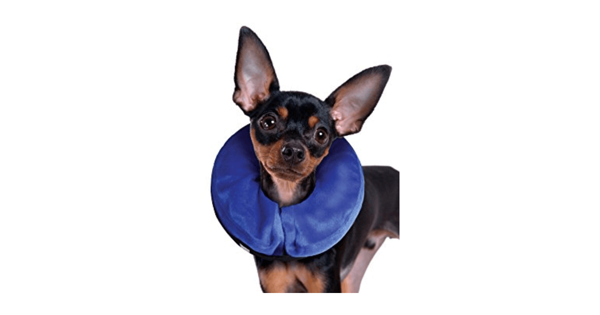 Kong - Collerette Kong Cloud Kong - 1