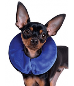 Kong - Collerette Kong Cloud Kong - 1