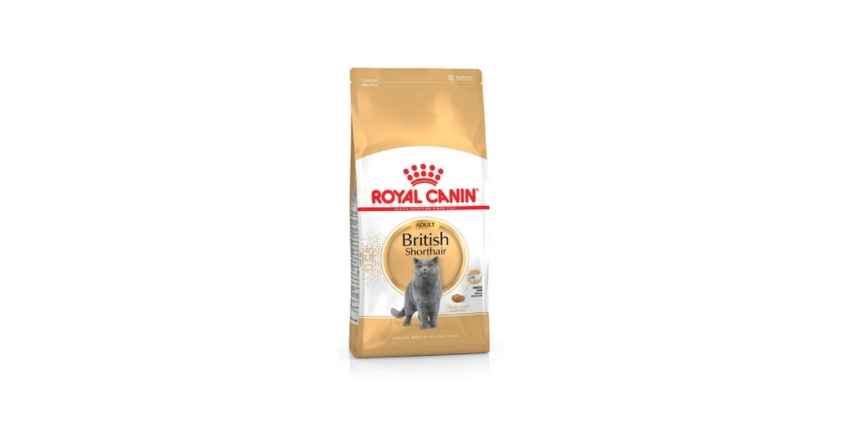 Royal Canin - British Shorthair Adult Royal Canin - 1