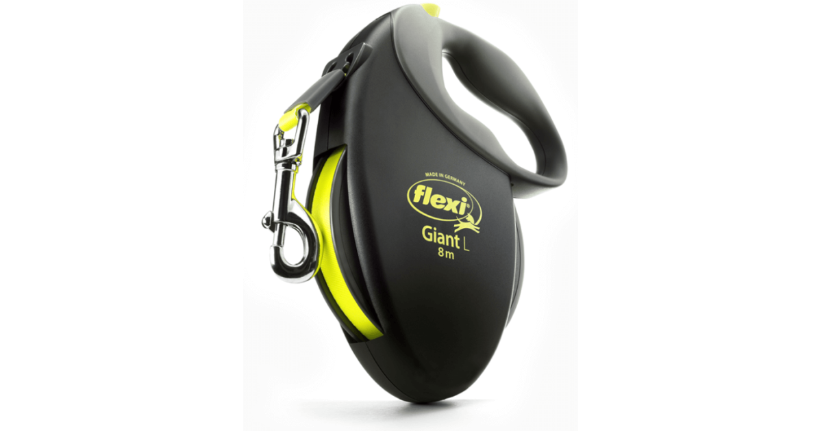 Laisse pour chien - Laisse Flexi Giant (Sangle) Flexi - 1