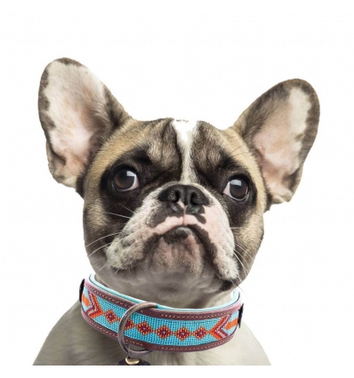 Collier pour chiens - Collier Paddy Lee DWAM - 4