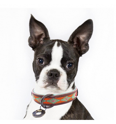 Collier pour chiens - Collier Tiger Lily DWAM - 4