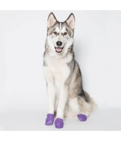 Accessoire de promenade pour chiens - Chausson de protection Pawz PawZ - 2