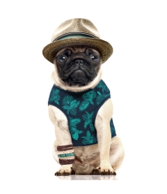 T-shirt pour chiens - T-Shirt Cuba réversible Milk & Pepper - 1