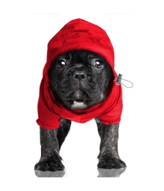 Coupe vent Preppy Milk & Pepper - 1