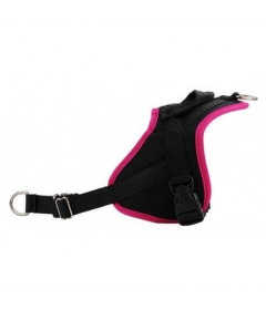 Harnais pour chien - Anti-traction Classic Animalin - 6