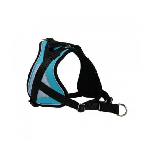 Harnais pour chien - Anti-traction Reflex Animalin - 4