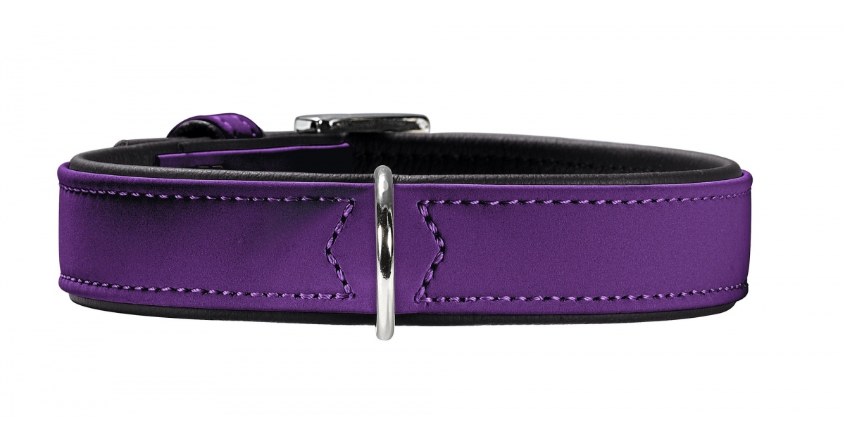 Collier pour chiens - Collier Softie Hunter - 1