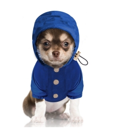 Coupe vent Norman Milk & Pepper - 1