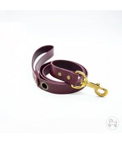 Laisse Cuir 240 Urban Cam - 6