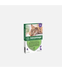 Advantage Advantage - 1